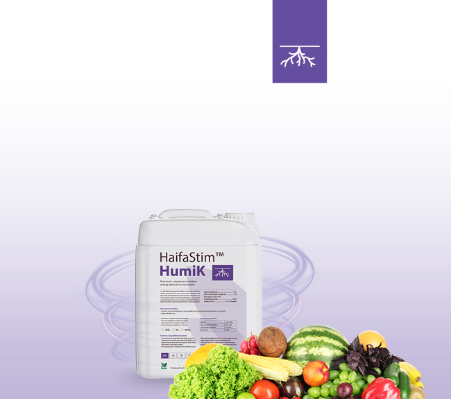 HaifaStim HumiK encouragement of root activity | Haifa Group